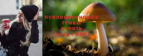 молекула духа Кукмор