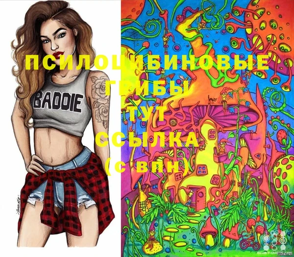 молекула духа Кукмор