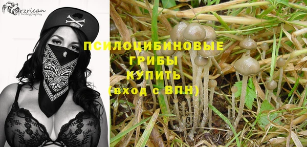 ALPHA-PVP Куйбышев